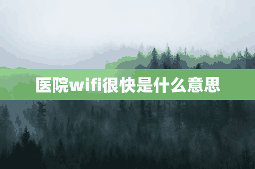 医院wifi很快是什么意思